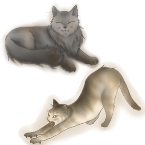 tuki (tuki203)さんの姉妹猫「るうとりり」の食器用キャラクターデザイン　への提案