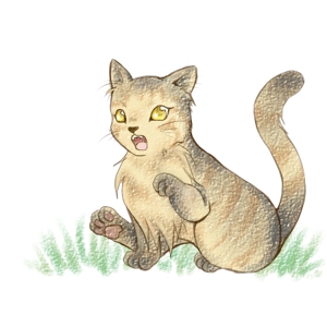 tuki (tuki203)さんの姉妹猫「るうとりり」の食器用キャラクターデザイン　への提案