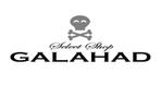 masaikujunさんの「select shop　GALAHAD」のロゴ作成への提案