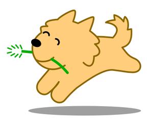 masaikujunさんの柴犬（子犬）のキャラクター制作への提案