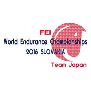 4S+D / フォーエス プラス ディー (4S_D)さんの馬術競技世界選手権の日本代表チームのポロシャツならびにウィンドブレーカーデザインへの提案