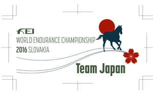 d:tOsh (Hapio)さんの馬術競技世界選手権の日本代表チームのポロシャツならびにウィンドブレーカーデザインへの提案
