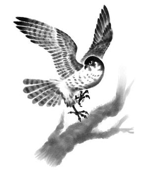lely (lely)さんの水墨画のようなモノクロの鳥イラストへの提案