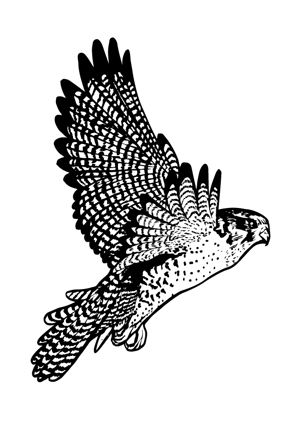 水墨画のようなモノクロの鳥イラストに対するmidomidoの事例 実績 提案一覧 Id イラスト制作の仕事 クラウドソーシング ランサーズ