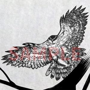 アイプ (aipue)さんの水墨画のようなモノクロの鳥イラストへの提案