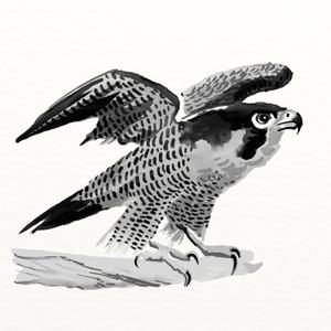 kropsworkshop (krops)さんの水墨画のようなモノクロの鳥イラストへの提案