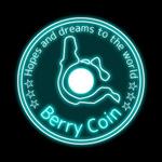 FPC (webfpc)さんの仮想通貨のコインそのもののデザインへの提案