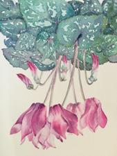 c_flowers (c_flowers)さんのカップ＆ソーサーのオリジナルデザイン(カラフルフラワー) への提案