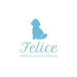プロのマルチクリエイター　Designing (Designing)さんのドッグサロン「Felice」のロゴへの提案