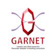 GARNET_4_1.jpg