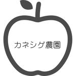 aoiro (ayanananan101)さんの農業をかっこよくしたい！！桃、梨、りんご農家「カネシゲ農園」の企業ロゴデザインへの提案