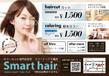 smarthair001.jpg