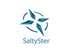 Moon Factory Design (katsuma74)さんのIoT向けシステム開発企業「SaltySter」の企業ロゴへの提案