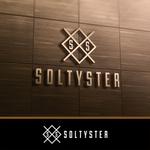 STUDIO ROGUE (maruo_marui)さんのIoT向けシステム開発企業「SaltySter」の企業ロゴへの提案