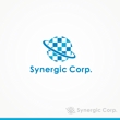 synergic_a2-01.jpg