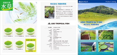 og_sun (og_sun)さんの生体卸業　メダカ・金魚用水草パンスレッドデザインへの提案