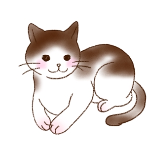 柔らかせんべい (hard_sofco)さんの猫のキャラクターのai作成（原案あり）への提案