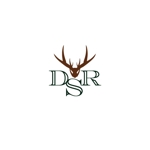 ookawa (family-ookawa)さんのアパレルブランド「DSR」のロゴへの提案