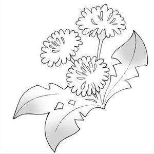 tomo ()さんのモノクロでも使える「たんぽぽ」の花のイラストへの提案