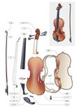 violinai.jpg