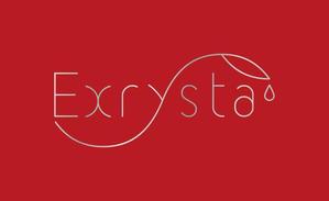 長谷川 喜美子 (cocorodesign2)さんの「Exrysta」のロゴ作成への提案