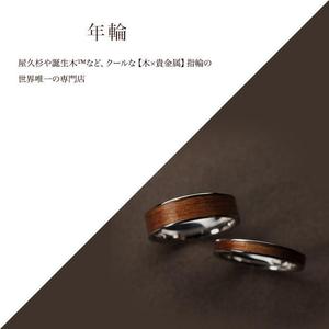 VainStain (VainStain)さんのジュエリーブランド１／ｆ のウェブサイト内画像デザインへの提案