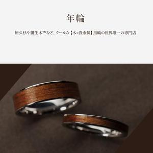 VainStain (VainStain)さんのジュエリーブランド１／ｆ のウェブサイト内画像デザインへの提案