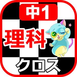 TOP55 (TOP55)さんの【アイコン作成】現行アプリ切り替え用 テンプレート作成×3個への提案