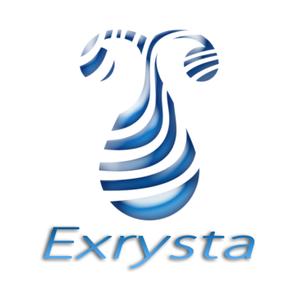 hide_1さんの「Exrysta」のロゴ作成への提案