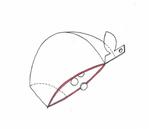 nobori (noboritama)さんの【急募！】型のみ！果実サプリのアルミパック形状！手描きOK！への提案