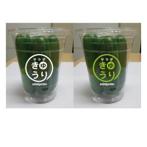 なつの (handsome836)さんの新作商品のパッケージデザインへの提案