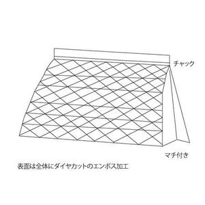 フリーランスライター、映像ディレクター (hosi)さんの【急募！】型のみ！果実サプリのアルミパック形状！手描きOK！への提案