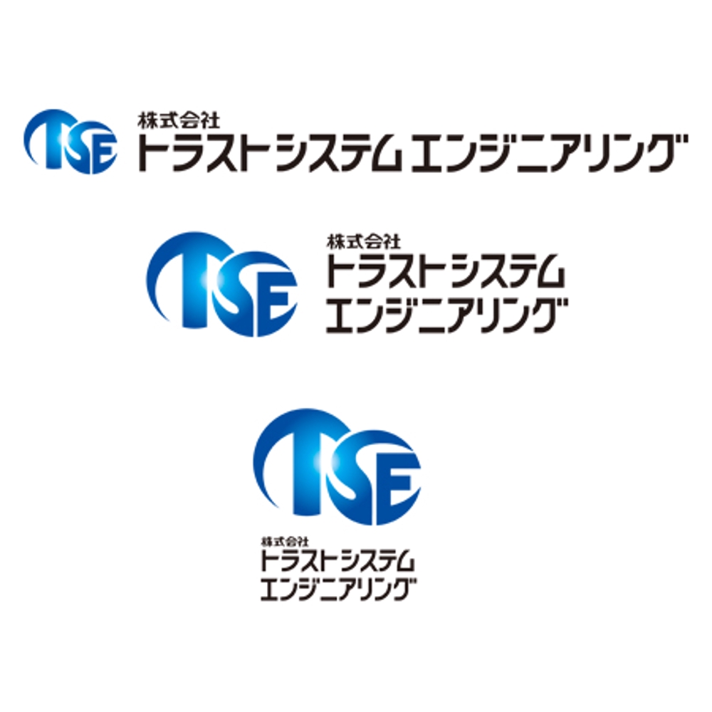 TSE_logo.jpg