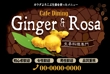Ginger&Rosa看板-01.jpg