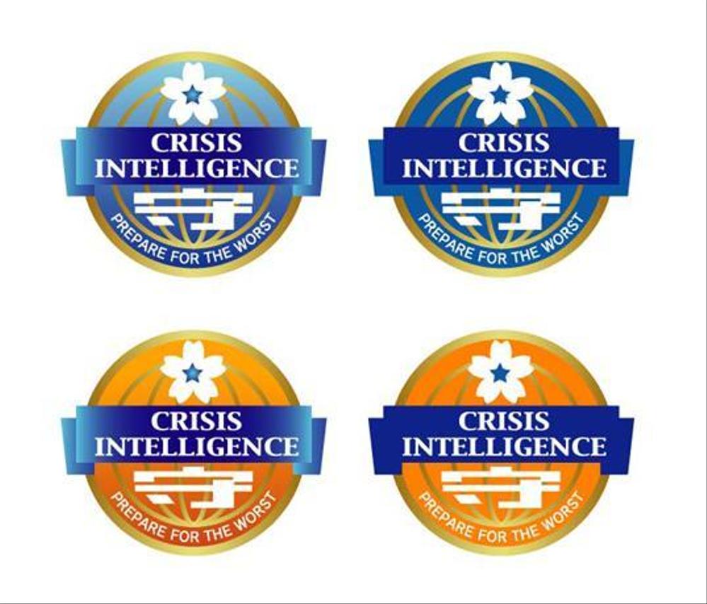 CRISIS INTELLIGENCE.jpg