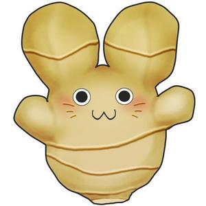 kinokopさんの大生姜の商品キャラクターを募集します。への提案