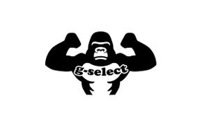 zero6_6 (zero6_6)さんのゴリラのキャラクターデザインと社名ロゴへの提案