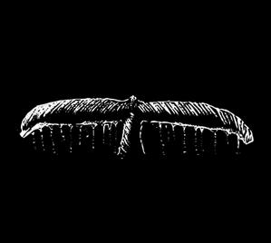 rie-koさんのウェットスーツ/Tシャツの背中のイラスト【ザトウクジラの尾びれ】への提案