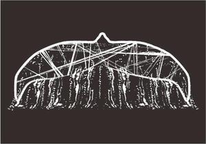 comforia ()さんのウェットスーツ/Tシャツの背中のイラスト【ザトウクジラの尾びれ】への提案