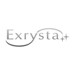 チカチュウ♥ (chicachu)さんの「Exrysta」のロゴ作成への提案