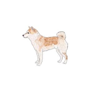 lantostos (lantostos)さんの和食器・和雑貨用の「柴犬」デザインをお願いします。への提案