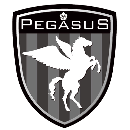 honeycomb (grace_design)さんの「Pegasus」のロゴ作成への提案