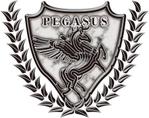 オガワユウキ (ogaki)さんの「Pegasus」のロゴ作成への提案