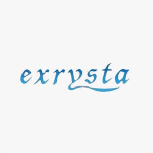 takesugataさんの「Exrysta」のロゴ作成への提案