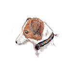 NYAPPI (nyappi)さんのオシャレでかわいい犬のイラストへの提案
