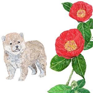 lantostos (lantostos)さんの和食器・和雑貨用の「柴犬」デザインをお願いします。への提案