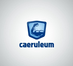 Kiwi Design (kiwi_design)さんのトレーニングジム経営「caeruleum」のロゴへの提案