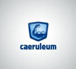 Kiwi Design (kiwi_design)さんのトレーニングジム経営「caeruleum」のロゴへの提案