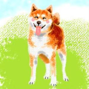 ナミ (takenoko_mail)さんの和食器・和雑貨用の「柴犬」デザインをお願いします。への提案