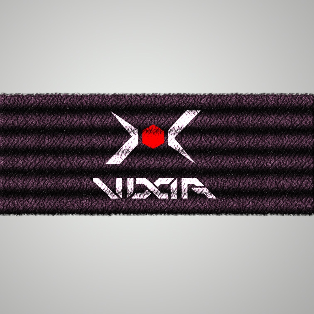 新しい柔道着のブランド「VIXIA」のロゴ